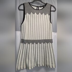 White House Black Market Striped Mini Dress/Shirt